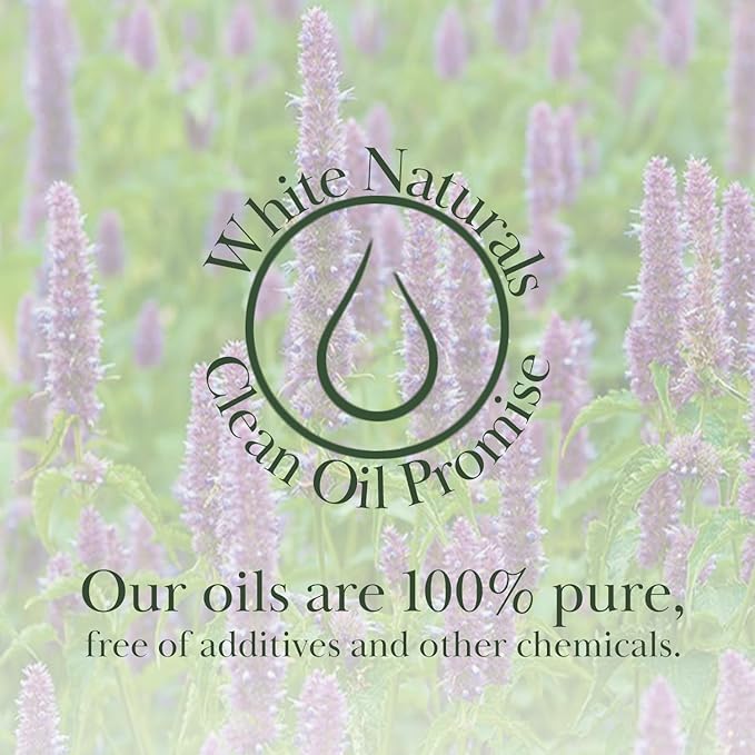 White Naturals Patchouli Essential Oil – 100% Pure & Natural, Earthy Aromatherapy Oil for Relaxation, Skin Care, & DIY Products, 1oz