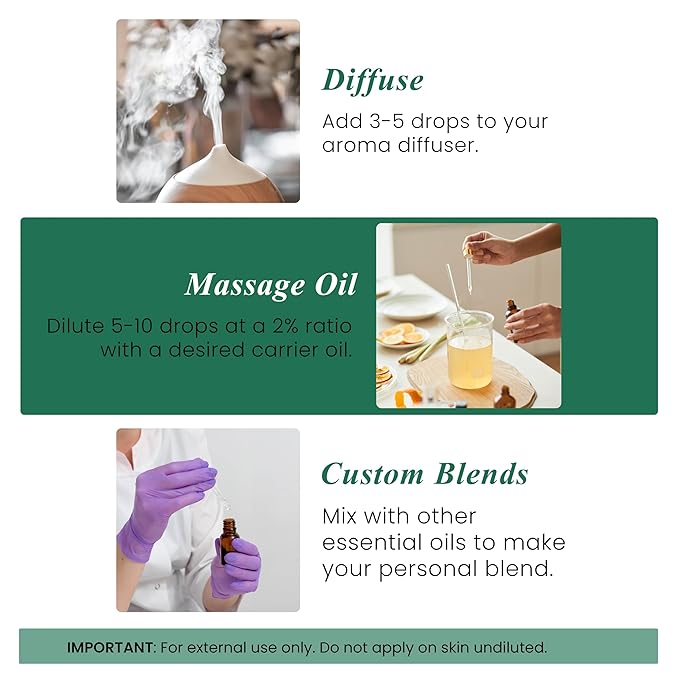 Handcraft Blends Pine Essential Oil - 1 Fl Oz - 100% Pure and Natural - Premium Grade Essential Oil for Diffuser and Aromatherapy