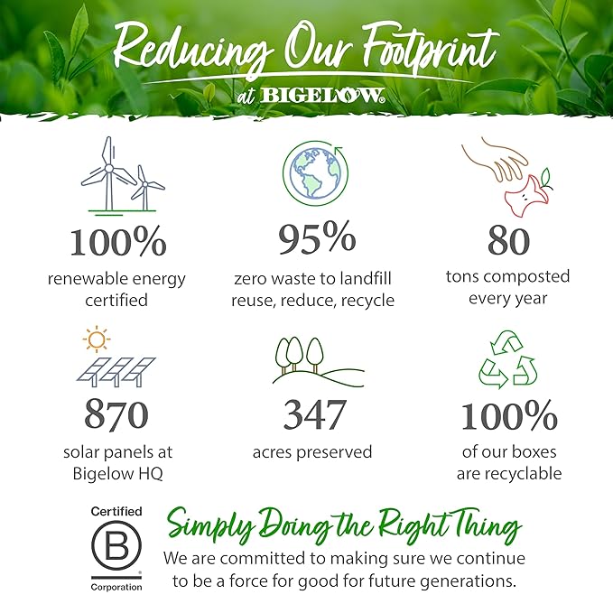 Bigelow Tea Ginger Snappish Herbal Tea, Caffeine Free Tea with Ginger and Lemon, Holiday and Christmas Tea, 18 Count Box (Pack of 6), 108 Total Tea Bags